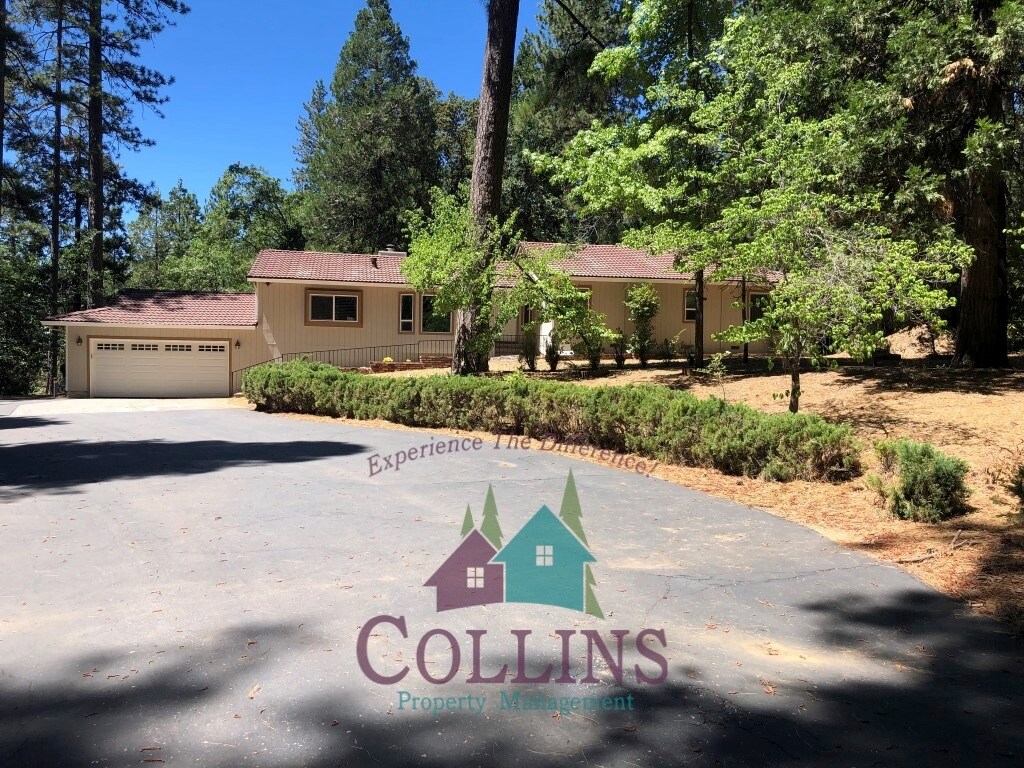 Primary Photo - 10846 Terrace Pines Ct
