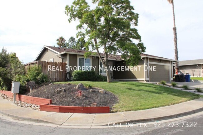 Building Photo - Beautiful 3 Bed, 2 Bath Single Story in Pe...