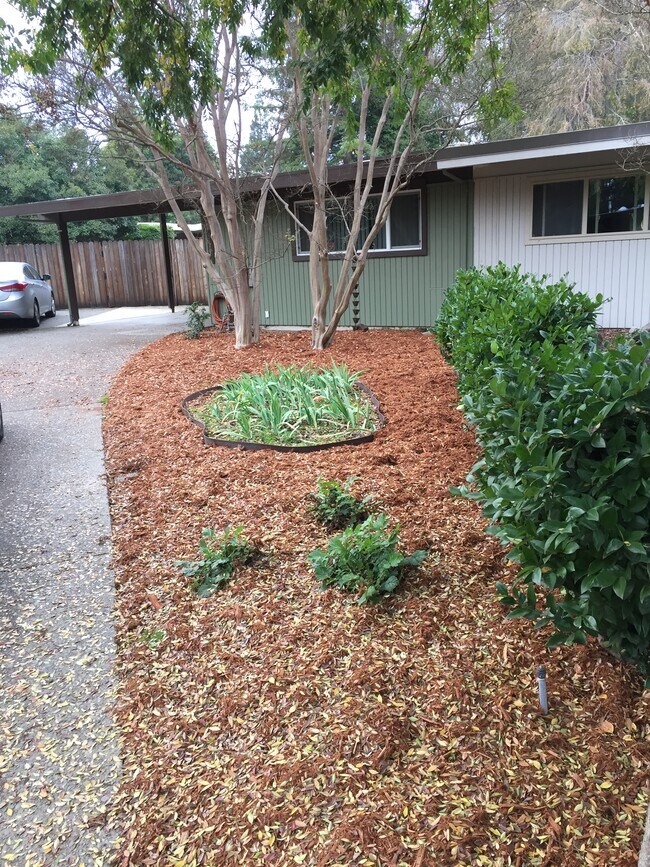 View from the street. Parking under and next to carport is available. Winter season with fresh cedar mulch. - 4401 Baron Ave