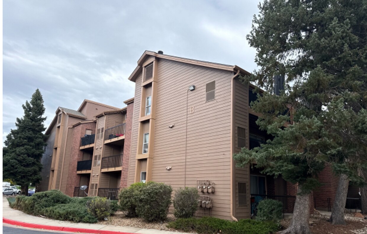 Spacious with sky light and loft! - Spacious with sky light and loft!