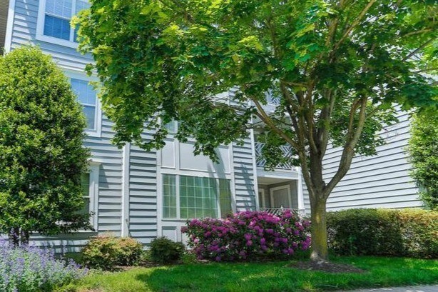 Condo & beautiful landscaping - 20410 Shore Harbour Dr