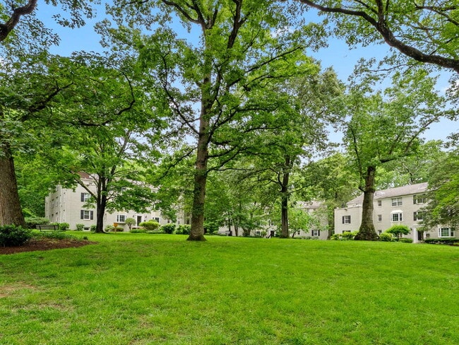 Foto del edificio - Sought-After fully remodeled Park Glen Condo Living in Arlington!