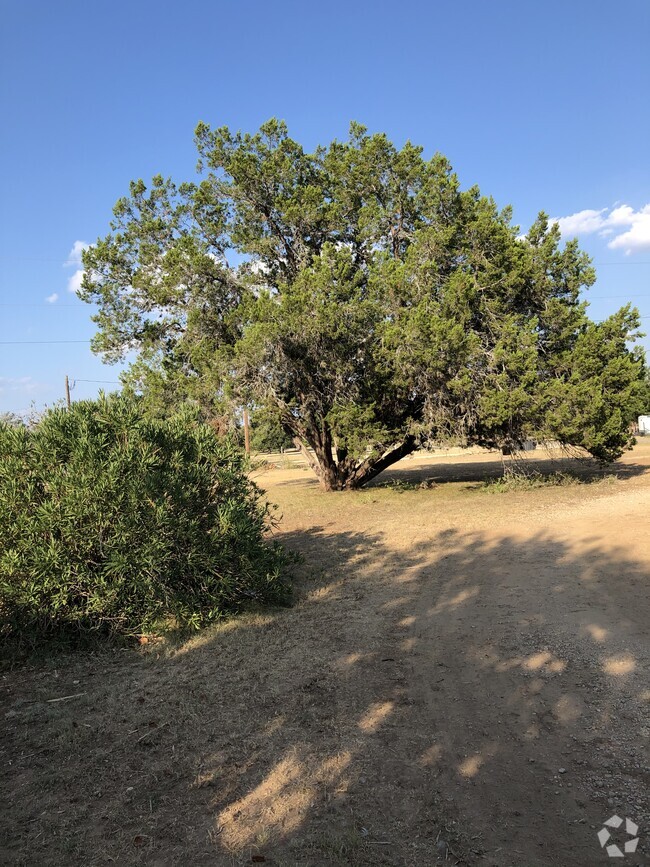 Building Photo - 200 Blue Bonnet Dr