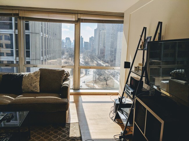 sunny bright apartment - 340 W Diversey Pkwy