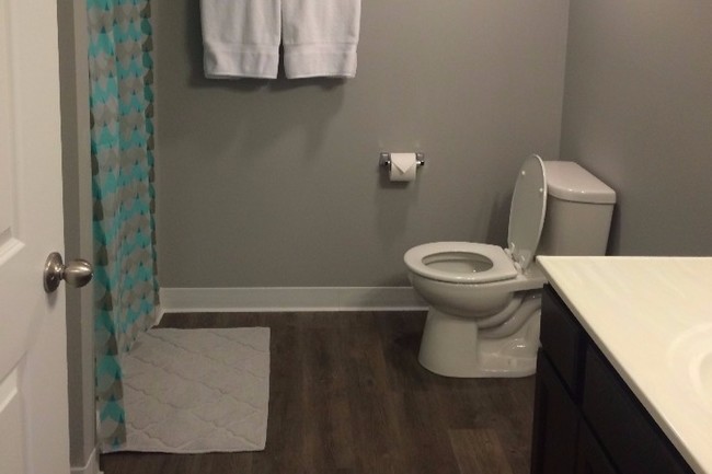 Ample bathroom space! - 350 E Madison St