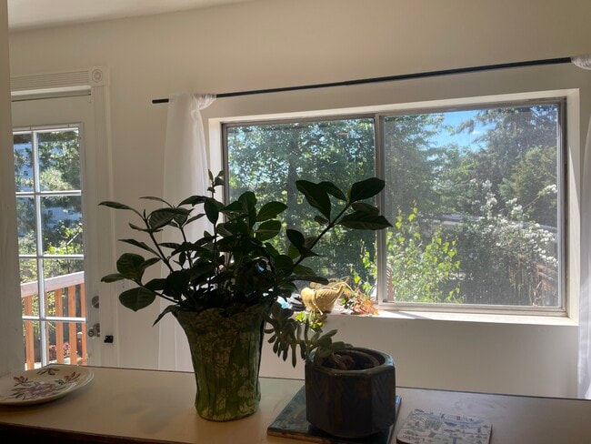kitchen view - 4345 4th Ave NW