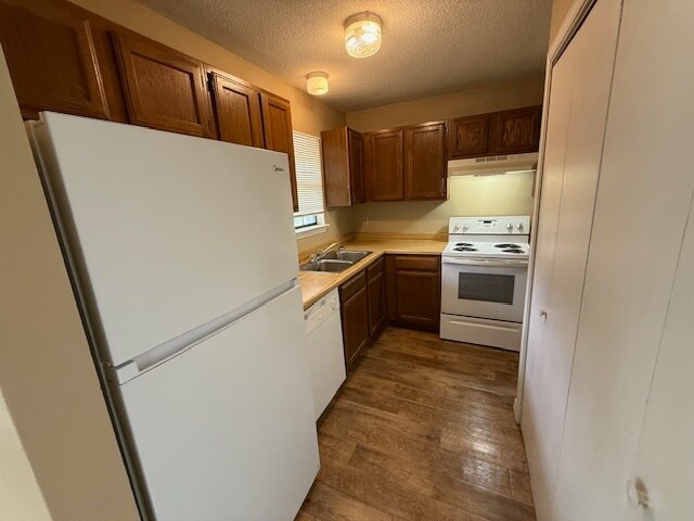 Foto del edificio - 124 Hummingbird Ln