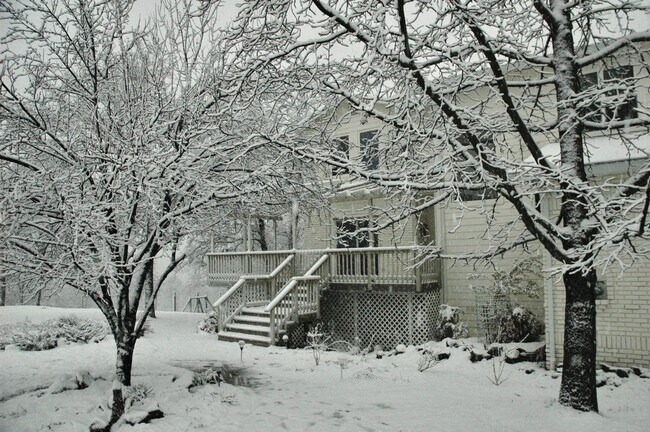 Foto del edificio - Gorgeous Multilevel 4 Bedroom 2.5 Bathroom Home on Acreage