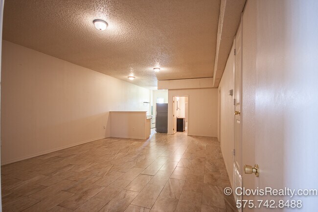 Living Room - 513 W 7th St