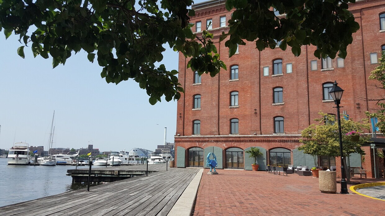 1000 Fell St Unit 3, Baltimore, MD 21231 Condo for Rent in Baltimore