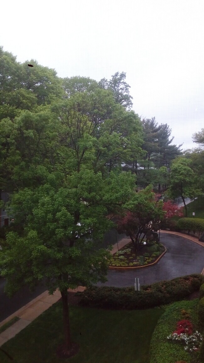 Vista desde las ventanas del dormitorio - 8601 Manchester Rd