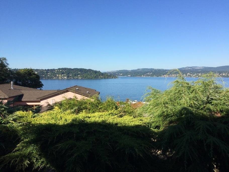 View from yard - 10054 Waters Ave S