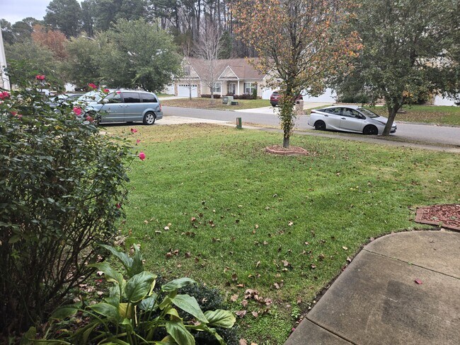 Photo - 2009 Breck Ave House