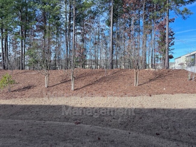 Building Photo - 1132 Chestnut Bluff Run
