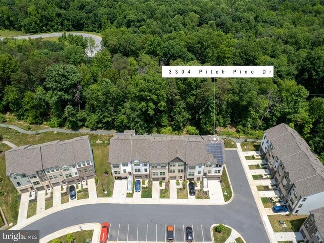 Building Photo - 3304 Pitch Pine Dr