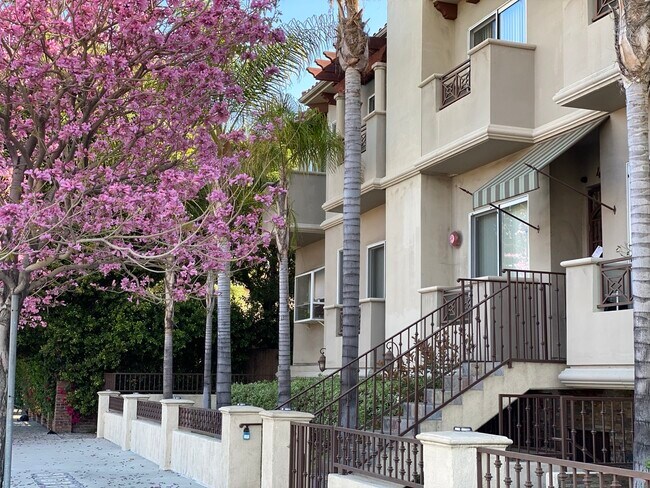 Building Photo - 4904 Laurel Canyon Blvd