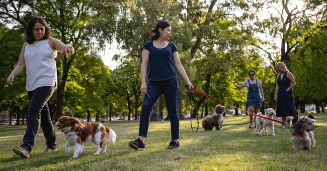 Foto del edificio - Legacy at Margate