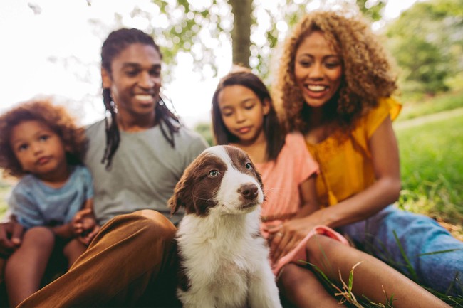 LAS MASCOTAS SON PARTE DE LA FAMILIA - Campus Apartments