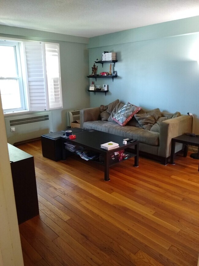 Living Room - 230 N George Mason Dr