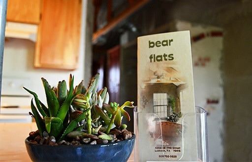 Primary Photo - Bear Flats