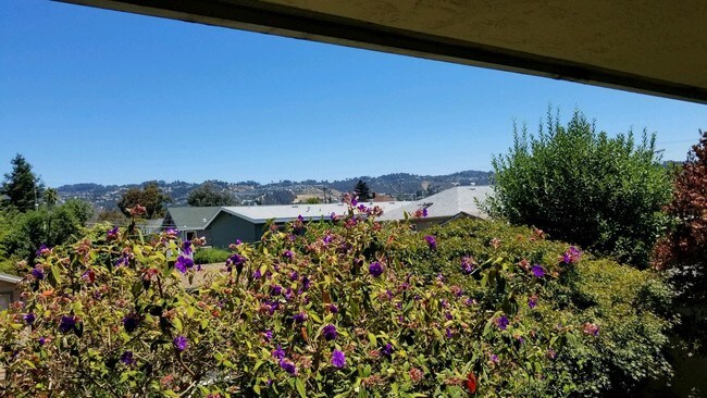 Foto del edificio - 2 bedroom in Oakland CA 94618