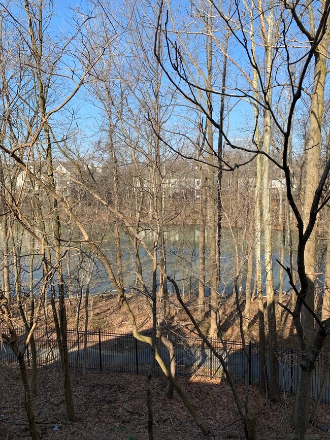 Convenient access to lake. - 9708 Lake Pointe Ct Unit 304
