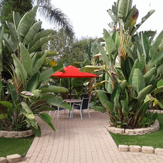 Building Photo - 2696 Magellan Ln