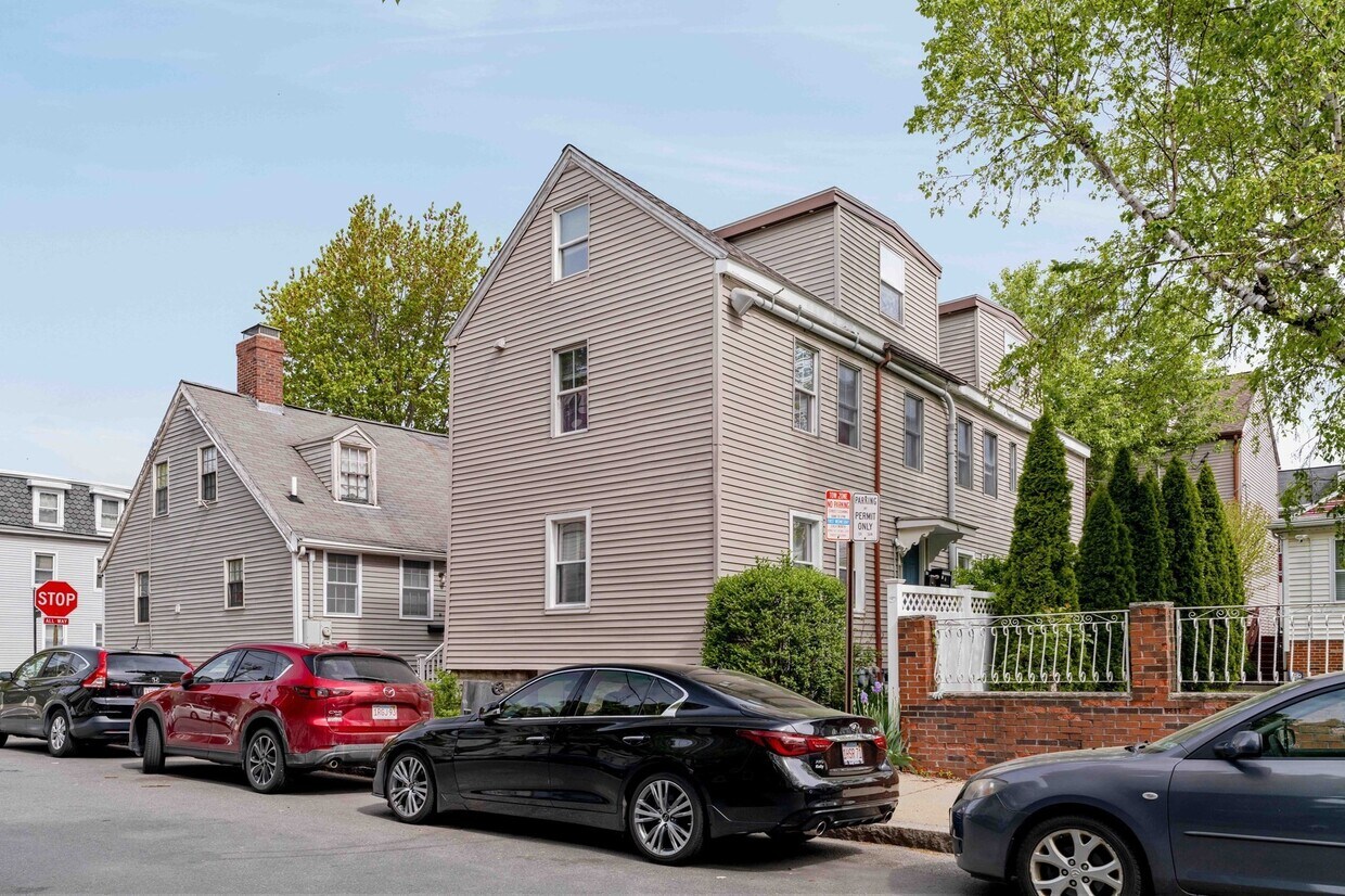 Primary Photo - 229 Hurley St