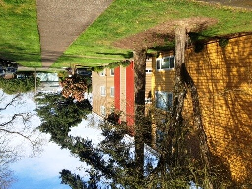 Primary Photo - 381 Owens St S