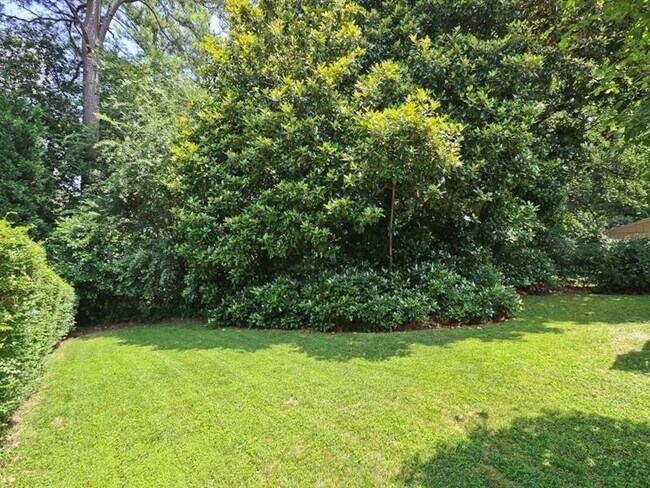 Foto del edificio - 1254 Briar Hills Dr NE