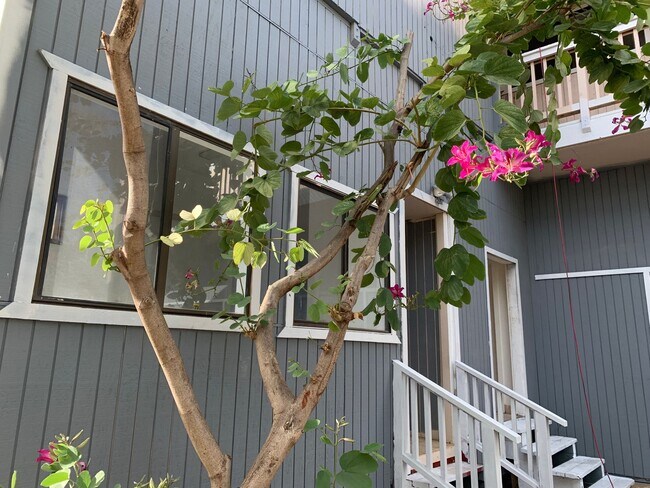 Foto del edificio - 2 bedroom 1.5 bathroom Ohana, across the street from the beach and park!