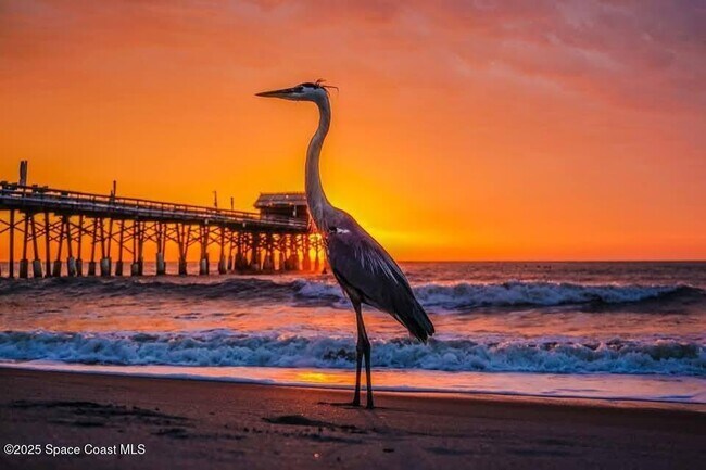 Foto del edificio - 299 Chandler St