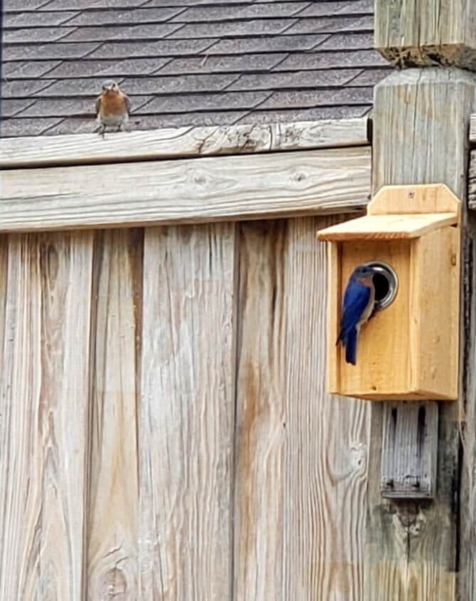 Photo - 307 Halyard Ct (Wilmington, NC)