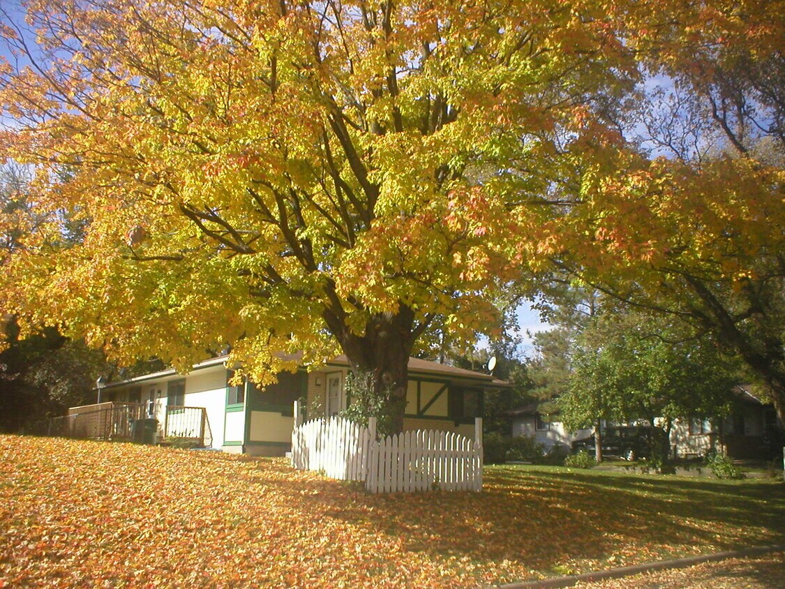 Primary Photo - 3221 Indiana Ave N