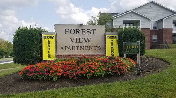 Building Photo - Forest View Apartments