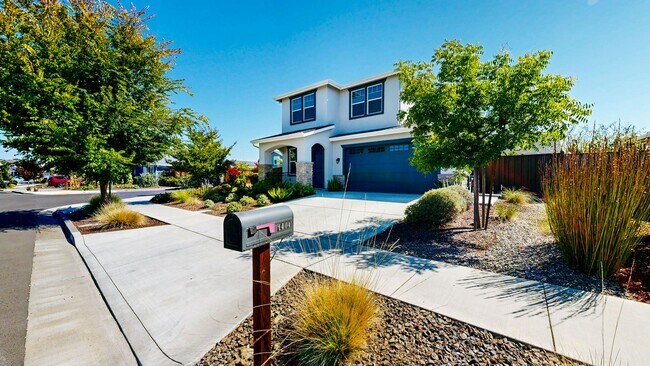 Foto del edificio - Rare Santa Rosa Four Bedroom house in Desi...
