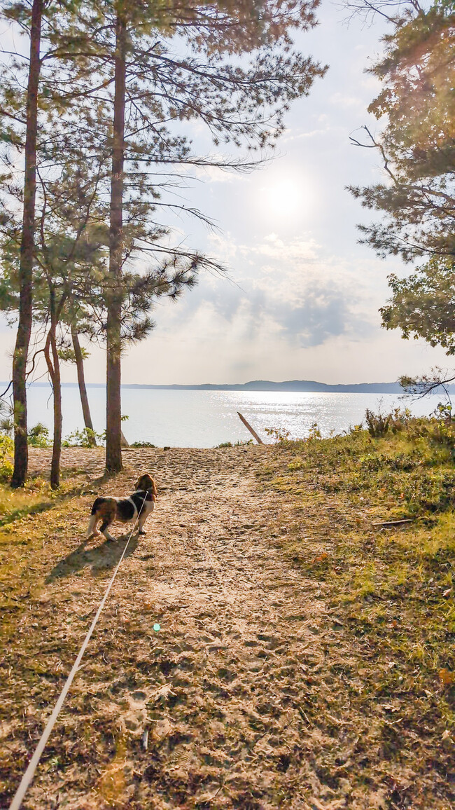 Plenty of parks & beaches for you and your furry family members - Oak Shore Commons