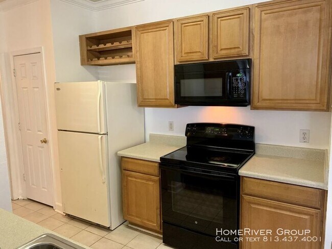 Building Photo - 2/2 Condo in gated New Tampa community