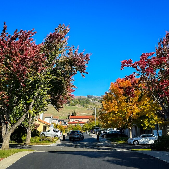 3345 Copper Leaf Dr, San Jose, CA 95132 House Rental in San Jose, CA