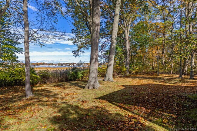 Foto del edificio - 31 Pawson Rd