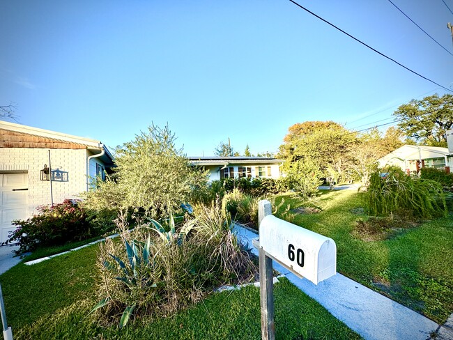 Frente de la casa - 60 Julia St