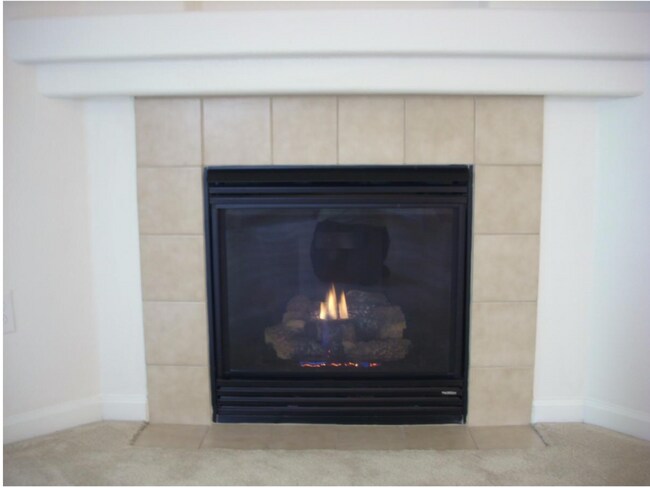 gas fireplace - 4785 Hahns Peak Dr