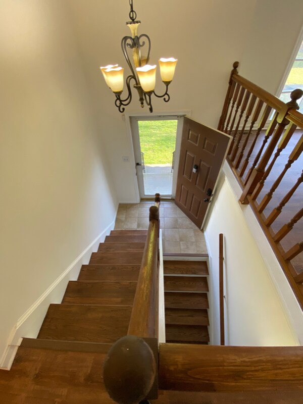 Foto del edificio - 24 Moss Dr