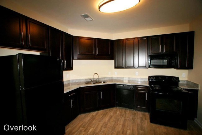 the overlook at stone spring apartments harrisonburg va apartments com
