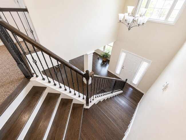 Building Photo - 7314 San Vista Dr