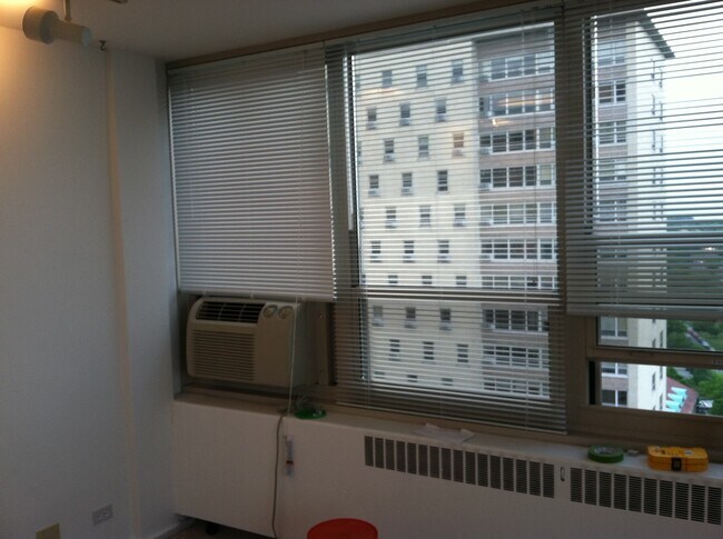 Northern view from living room - 3950 N Lake Shore Dr