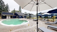 This outdoor amenity space centers around a generously sized freeform swimming pool with curved edges and clear, green-tinted water. The pool is set within a broad concrete deck that provides ample room for lounging and socializing. Multiple modern charcoal-toned chaise lounge chairs are arranged throughout the deck, accompanied by several large shade umbrellas in both white and navy blue, offering relief from the sun. Additional seating areas with tables and chairs are distributed across the space, creating designated zones for relaxation and gathering. A low-profile hot tub or spa feature is also present on the deck. The entire pool area is enclosed by a sleek black iron fence, providing both security and a defined boundary for the amenity space. Beyond the fence, mature evergreen and deciduous trees frame the property, adding a natural, park-like backdrop. The surrounding residential buildings feature bold navy blue and gray exterior siding with gabled rooflines, providing an attractive architectural context. Landscaped planting beds with ornamental grasses and shrubs line the perimeter inside the fencing, enhancing the overall aesthetic. The space is designed to serve as a central outdoor retreat within the residential community.