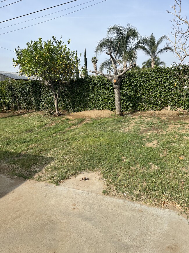 Foto del edificio - 965 N Latham St