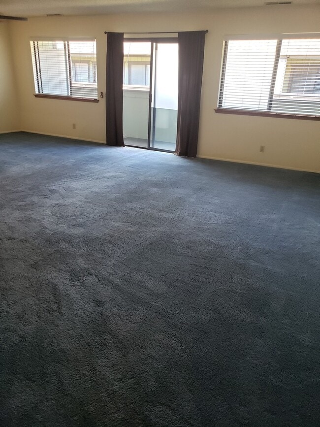 Building Photo - Spacious Two Bedroom/Two Bath