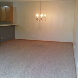 Dining room but LVP not carpet - 13040 Europa Trail Way N